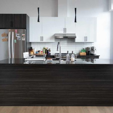 Magnifique 4½ lumineux à aire ouverte à Saint-Hyacinthe - Photo 4