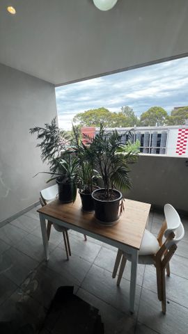 Alexandria - Photo 5