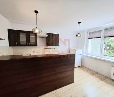 Do wynajecia duży pokój z aneksem kuchennym. - Photo 4