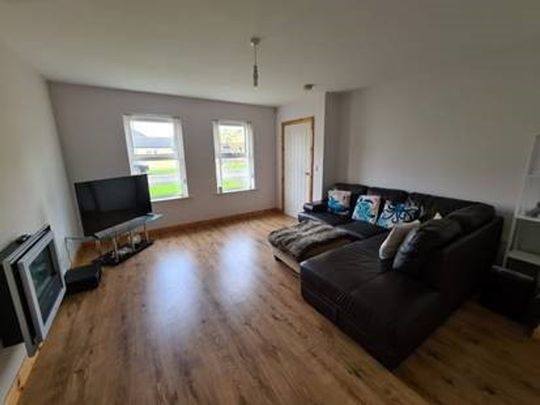 12 Millbrook Drive, Ballymoney, BT53 7RP - Photo 1