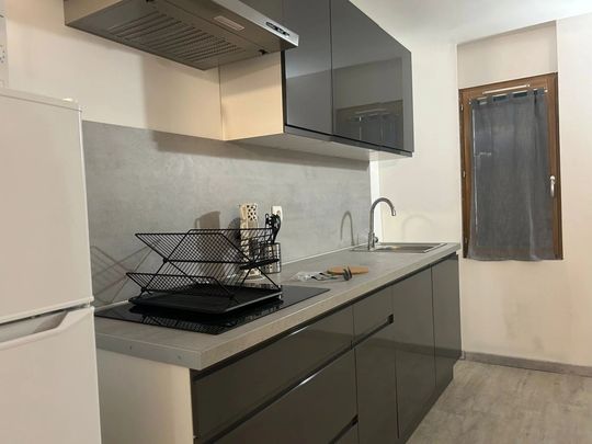 Location Appartement 1 pièces à Perpignan - Photo 1