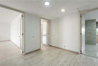 Palma, Balearic Islands 07006