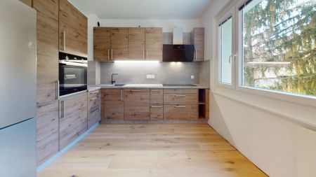 Sanierte 1-Zimmer-Wohnung in Maria Enzersdorf - Photo 3