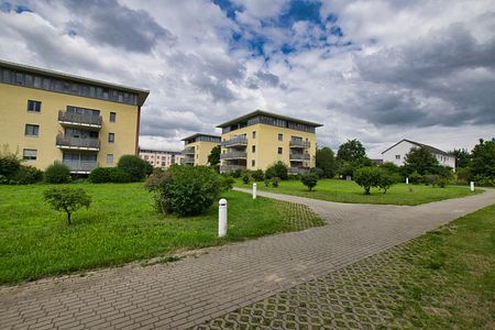 DI – schöne 2-Zimmer-Wohnung mit Balkon im 2. OG mit Fahrstuhl im grünen Fahrland - Foto 4