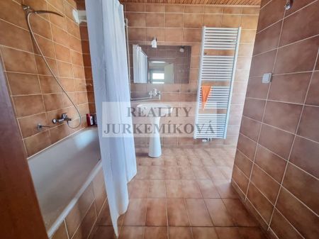 Pronájem bytu 1+kk a garsoniéry 18 m², Rudolfov - Fotografie 3