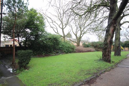 2 bedroom maisonette to rent - Photo 5