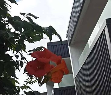 Modern 2-bedroom Apartment in Hamilton CBD - Photo 2