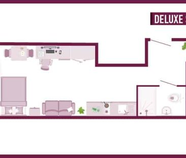 Deluxe Studio - Photo 4