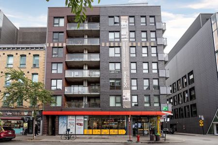 1255 rue Saint-Dominique, Montréal, QC - Photo 3