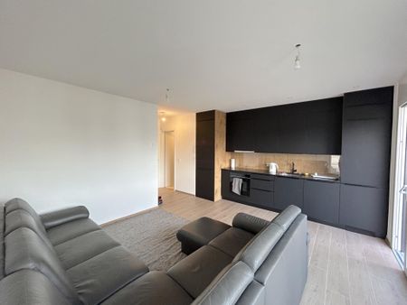 Magnifique Attique MINERGIE avec grande terrasse - Foto 3