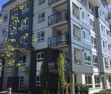 CINEMA APTS - 310B - C310B - Photo 2