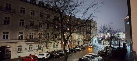 Mieszkanie do wynajęcia 1 pokoje Wiejska, Warszawa 26.2 m² - Photo 4