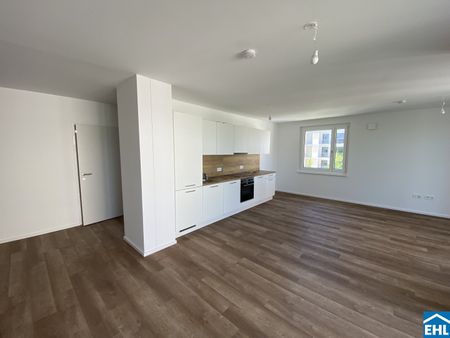 Modern Wohnen im Grünen: Ihr neues Zuhause im Herzen des Tullnerfelds - Photo 2