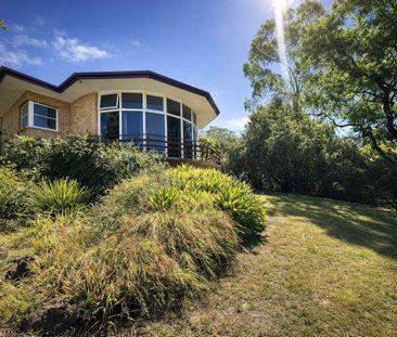 Large family home on large block - Photo 5