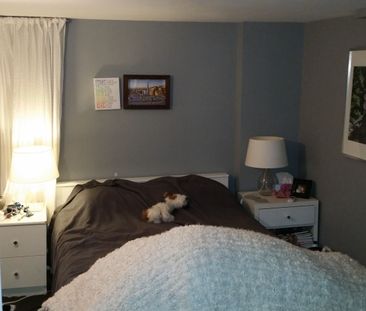 For Lease - 23 Lumbervale Avenue Unit# Lower, Toronto, Ontario - Photo 5