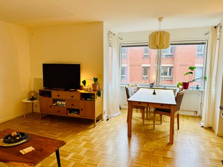 Lugna gatan, Malmö - Foto 5