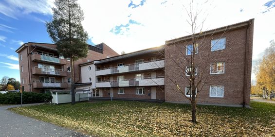 Familjegränd, Skellefteå - Foto 3