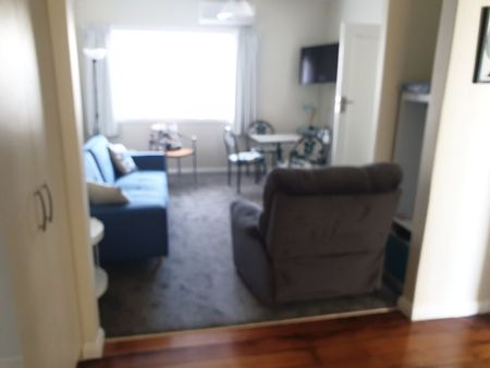 STYLISH 2 BEDROOM APARTMENT IN PETONE - Photo 4