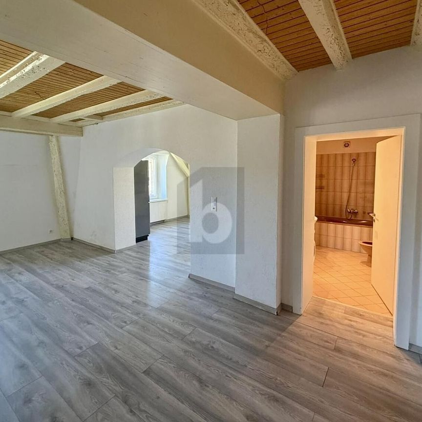 SPACIOUS ON THE TOP FLOOR OF THE MANOR WITH GARDEN - Foto 1