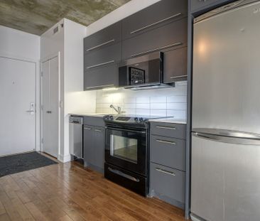 Loft/Studio à louer, Montréal (Le Sud-Ouest) - Photo 3