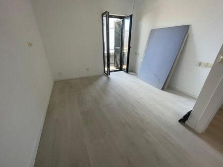 Carrer de Sagasta, 53, Ponent, 07011 Palma, Illes Balears, Spain, Palma de Mallorca, Balearic Islands 07011 - Photo 3