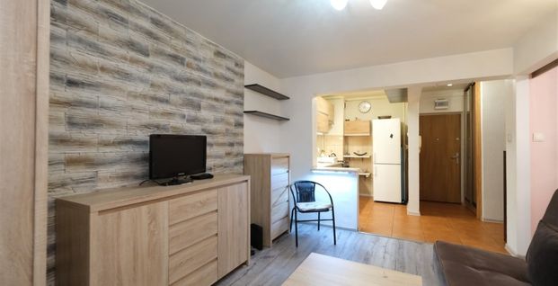 Sosnowiec, Centrum Mieszkanie na wynajem - Zdjęcie 1