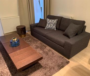 Parc Botanique! BEL APPARTEMENT MEUBLE 1 chambre + terrasse - Foto 3