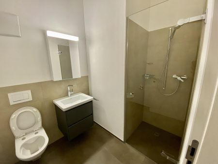 Moderne 4.5-Zimmer-Dachwohnung mit schöner Terrasse - Foto 4