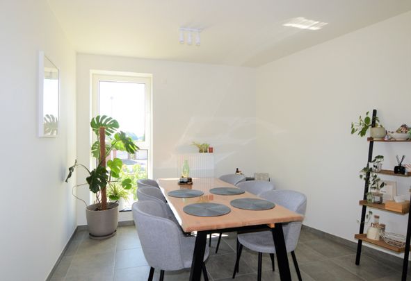 Appartement Te huur in Hombeek - Foto 1