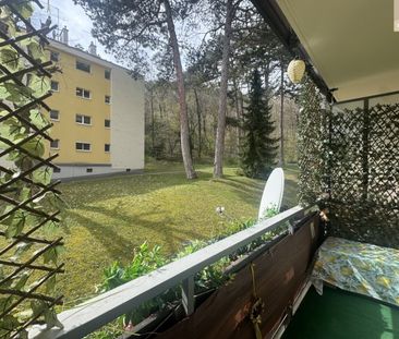 Sonnige Singlewohnung in ruhiger Lage im Helenental - Photo 3