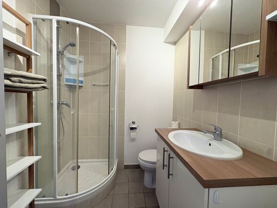 Location Appartement 2 pièces 50m² KEMBS 68680 - Photo 1