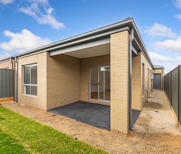 11 Amfissa Street, Wollert VIC 3750 - House For Rent | Domain - Photo 2