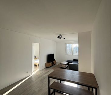 Apartment - Photo 5