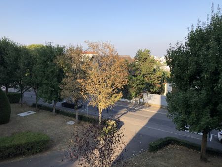 Location Appartement 1 pièce 24m² TALANT 21240 - Photo 5