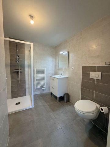 Location Appartement 1 pièce 22m² ROSIERES PRES TROYES 10430 - Photo 5