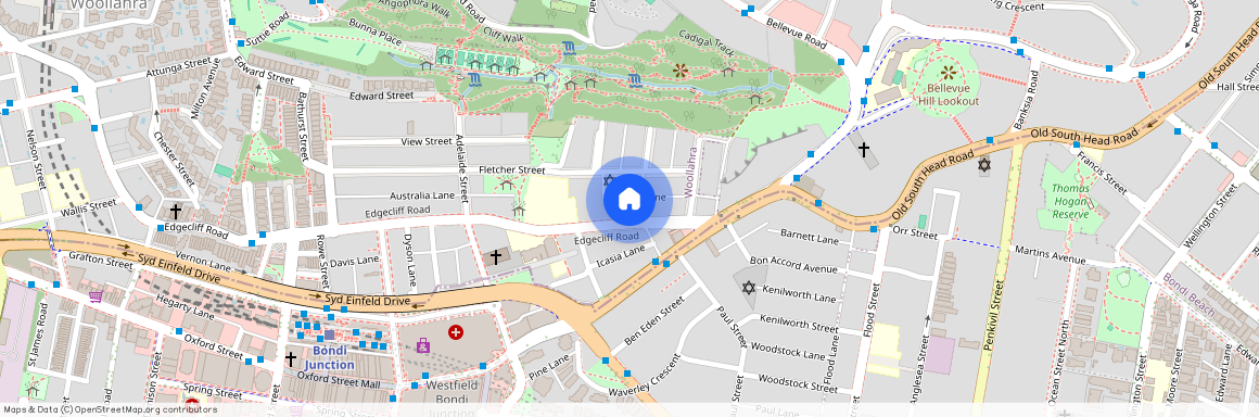 39 Edgecliff Road, Sydney, New South Wales 2025