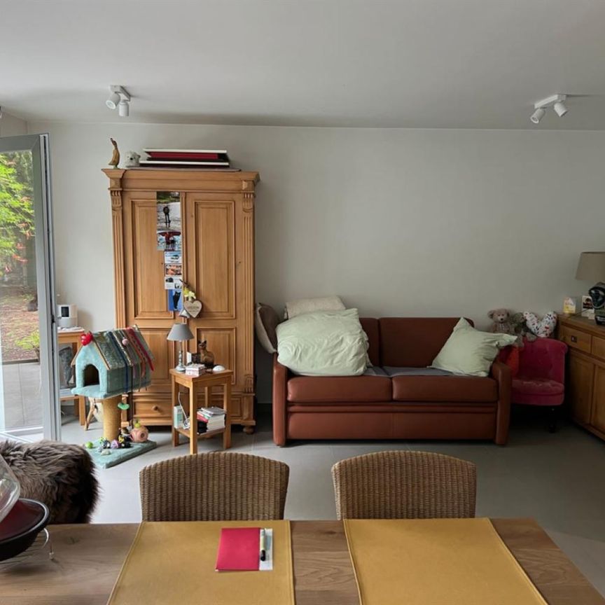 Studio te huur in Zwijndrecht - foto 1