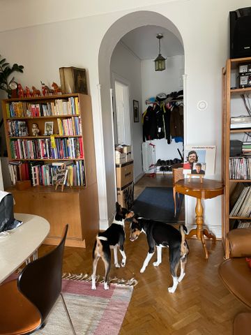 Erikstorpsgatan, Malmö - Foto 2