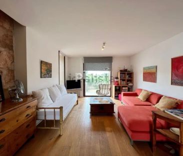 Finca rústica en alquiler en Calle Diseminado Es Gallicant, Número 309 - Photo 3