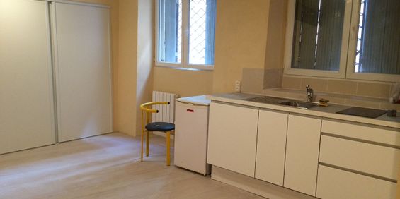 Location Appartement 1 pièce 22m² - Photo 3