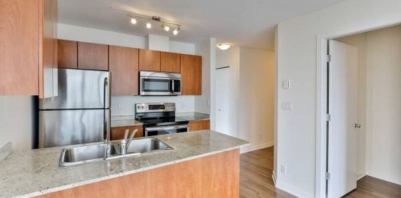 Guest suites, Stainless-steel appliances, In suite Laundry - Photo 2