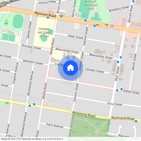 19 Camelia Street, Cannon Hill QLD 4170