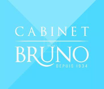 Location Appartement 1 pièce 23m² CANNES 06400 - Photo 2