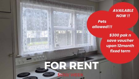 Awaiting New Family - Photo 4