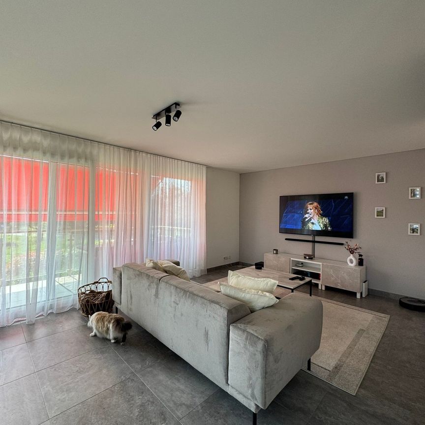 97 m² - Photo 1