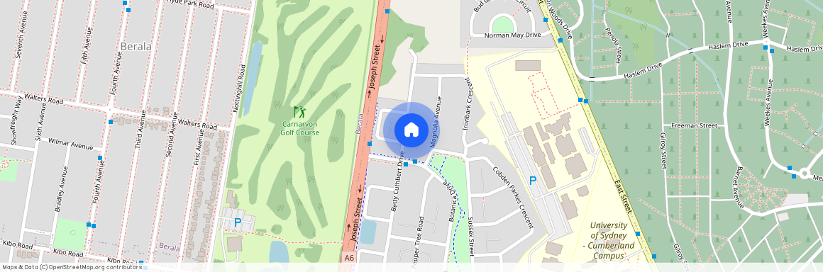 56 Betty Cuthbert Drive, Lidcombe NSW 2141