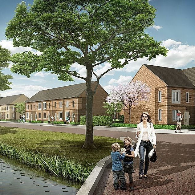 Zilverstreepzoom 9 - Photo 1