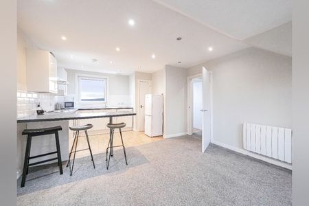 Princes Street, Stobswell, Dundee, DD4 - Photo 5