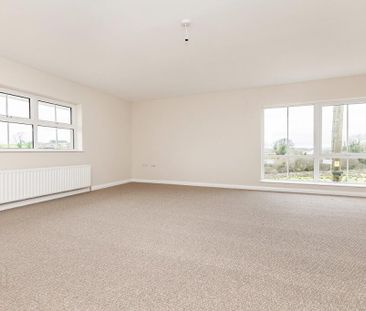A Greystone House, 28 Cullenramer Road, Dungannon, BT70 1SS - Photo 3