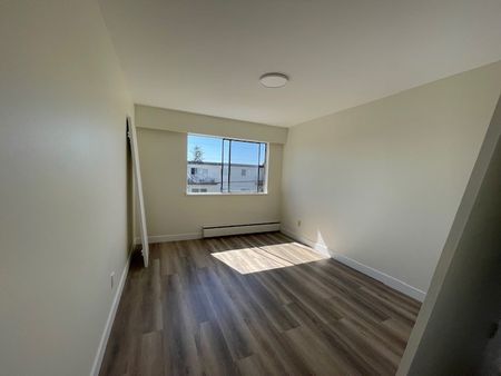 Newly Renovated Second Floor Apartment in White Rock - Photo 5